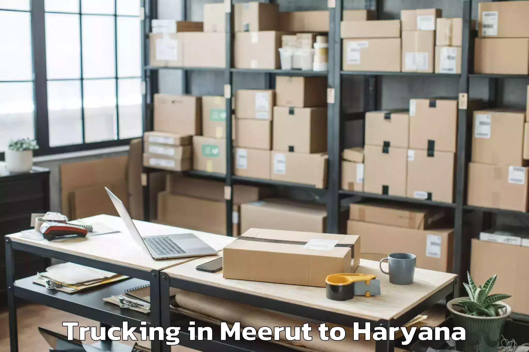 Easy Meerut to Chaudhary Charan Singh Haryana Trucking Booking